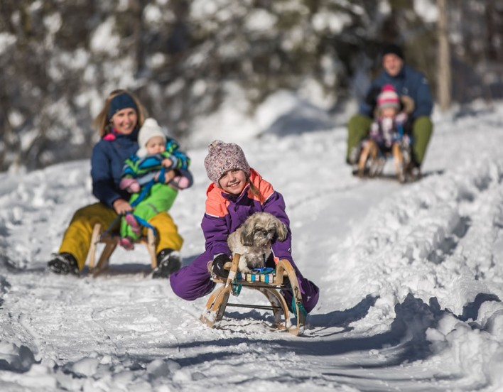 Rodeln im Salzburger Land © SalzburgerLand Tourismus | Michael Groessinger